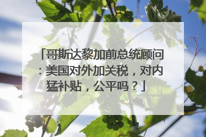 哥斯达黎加前总统顾问：美国对外加关税，对内猛补贴，公平吗？