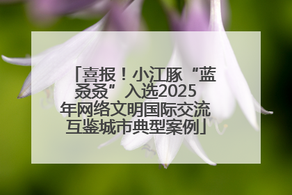 喜报！小江豚“蓝叒叒”入选2025年网络文明国际交流互鉴城市典型案例