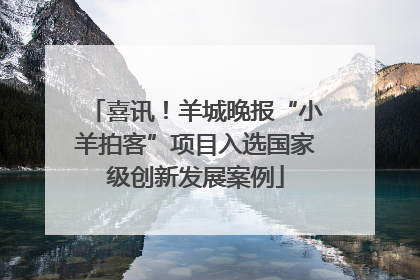 喜讯！羊城晚报“小羊拍客”项目入选国家级创新发展案例