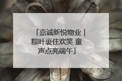 嘉诚新悦物业｜粽叶裹住欢笑 童声点亮端午