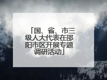 国、省、市三级人大代表在邵阳市区开展专题调研活动