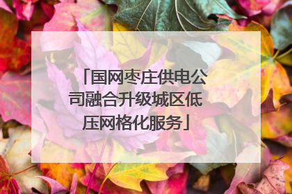 国网枣庄供电公司融合升级城区低压网格化服务