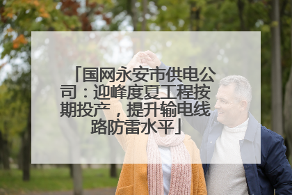 国网永安市供电公司：迎峰度夏工程按期投产，提升输电线路防雷水平