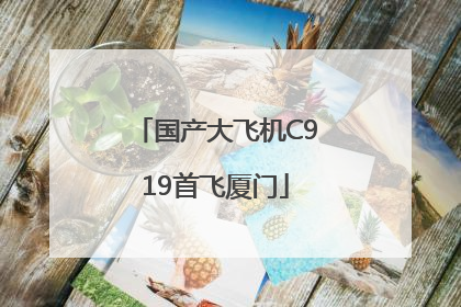 国产大飞机C919首飞厦门