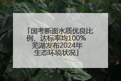 国考断面水质优良比例、达标率均100% 芜湖发布2024年生态环境状况
