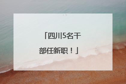 四川5名干部任新职！