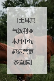 土耳其与叙利亚本月中旬起运营更多直航