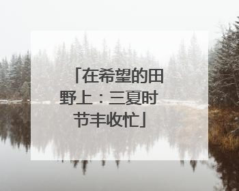 在希望的田野上：三夏时节丰收忙