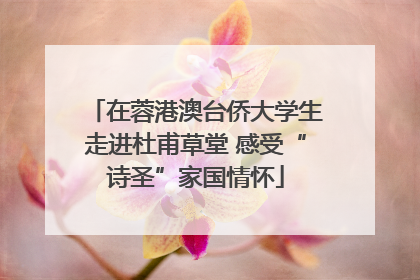 在蓉港澳台侨大学生走进杜甫草堂 感受“诗圣”家国情怀