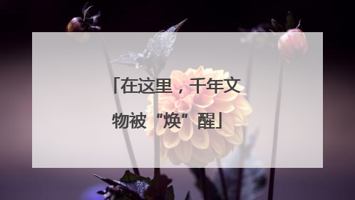 在这里，千年文物被“焕”醒