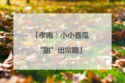 孝南：小小香瓜 “甜”出富路