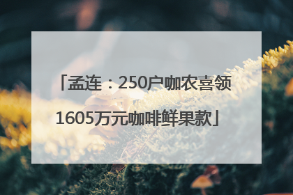 孟连：250户咖农喜领1605万元咖啡鲜果款