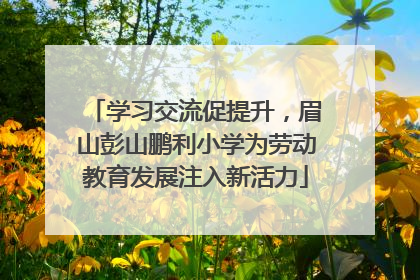 学习交流促提升，眉山彭山鹏利小学为劳动教育发展注入新活力