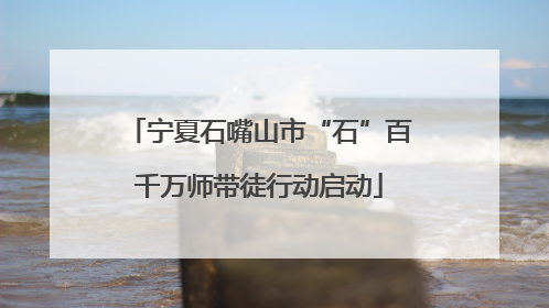 宁夏石嘴山市“石”百千万师带徒行动启动
