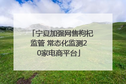 宁夏加强网售枸杞监管 常态化监测20家电商平台