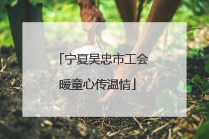 宁夏吴忠市工会暖童心传温情