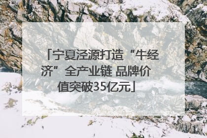 宁夏泾源打造“牛经济”全产业链 品牌价值突破35亿元