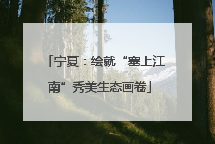 宁夏：绘就“塞上江南”秀美生态画卷