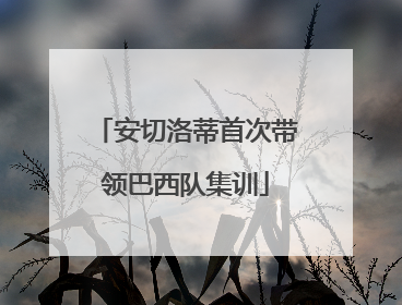 安切洛蒂首次带领巴西队集训