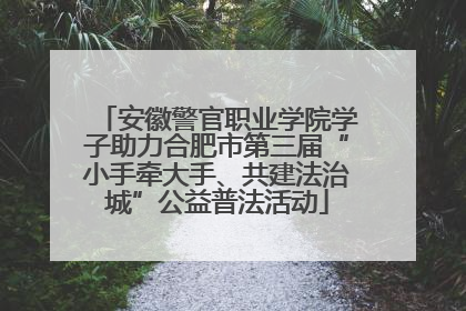 安徽警官职业学院学子助力合肥市第三届“小手牵大手、共建法治城”公益普法活动