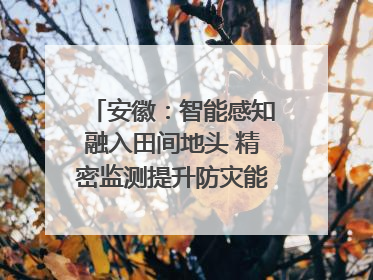 安徽：智能感知融入田间地头 精密监测提升防灾能力｜增发国债气象项目落地见效系列报道