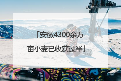 安徽4300余万亩小麦已收获过半