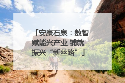 安康石泉：数智赋能兴产业 铺就振兴“新丝路”