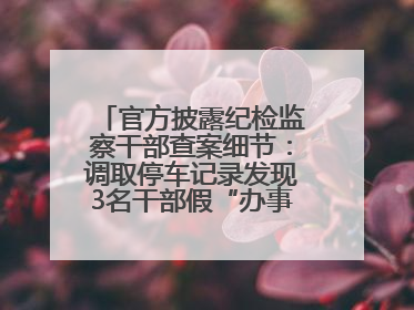 官方披露纪检监察干部查案细节：调取停车记录发现3名干部假“办事”真麻将