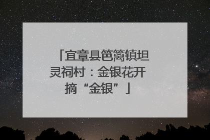 宜章县笆篱镇坦灵祠村：金银花开摘“金银”