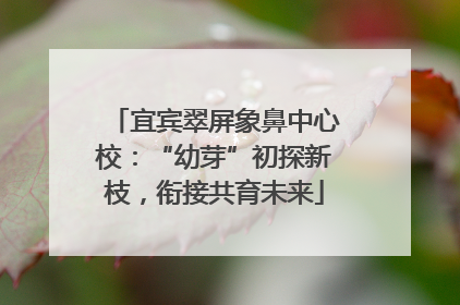 宜宾翠屏象鼻中心校：“幼芽”初探新枝，衔接共育未来
