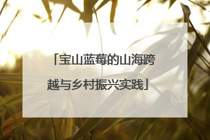 宝山蓝莓的山海跨越与乡村振兴实践