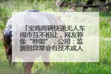 宝鸡两辆快递无人车闹市互不相让，网友称像“吵架”，公司：监测到异常会有技术或人为干预处置