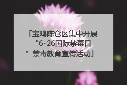 宝鸡陈仓区集中开展“6･26国际禁毒日”禁毒教育宣传活动
