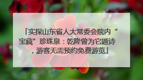实探山东省人大常委会院内“宝藏”珍珠泉：乾隆曾为它题诗，游客无需预约免费游览