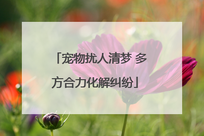 宠物扰人清梦 多方合力化解纠纷