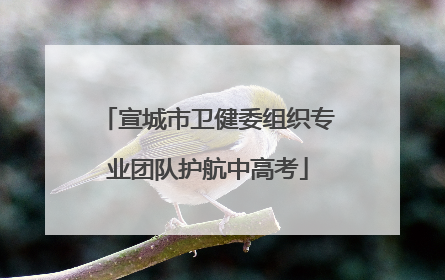 宣城市卫健委组织专业团队护航中高考