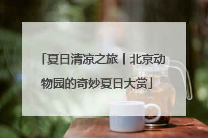 夏日清凉之旅丨北京动物园的奇妙夏日大赏