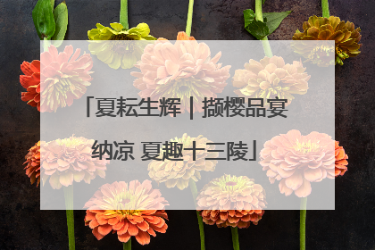 夏耘生辉｜撷樱品宴纳凉 夏趣十三陵