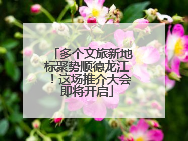 多个文旅新地标聚势顺德龙江！这场推介大会即将开启