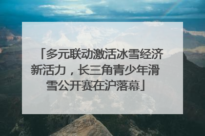 多元联动激活冰雪经济新活力，长三角青少年滑雪公开赛在沪落幕