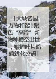 大城名园 万物和谐│紫色“高冷”新物种横空出世，皱褶叶片暗藏进化密码