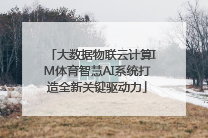 大数据物联云计算IM体育智慧AI系统打造全新关键驱动力