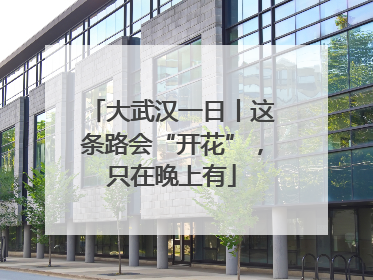 大武汉一日丨这条路会“开花”，只在晚上有
