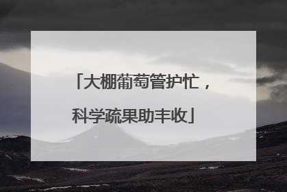 大棚葡萄管护忙，科学疏果助丰收