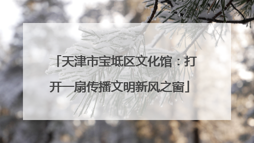 天津市宝坻区文化馆：打开一扇传播文明新风之窗