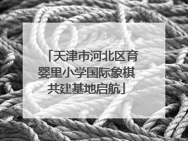 天津市河北区育婴里小学国际象棋共建基地启航