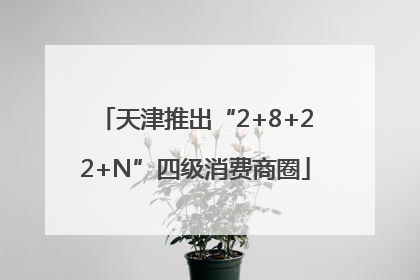 天津推出“2+8+22+N”四级消费商圈