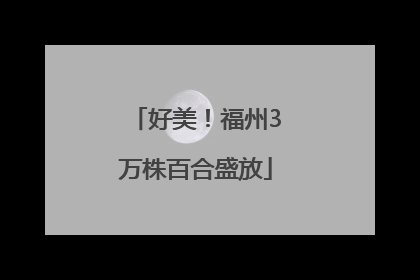 好美！福州3万株百合盛放
