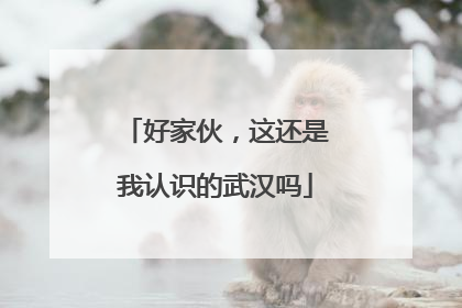 好家伙，这还是我认识的武汉吗