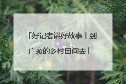 好记者讲好故事丨到广袤的乡村田间去
